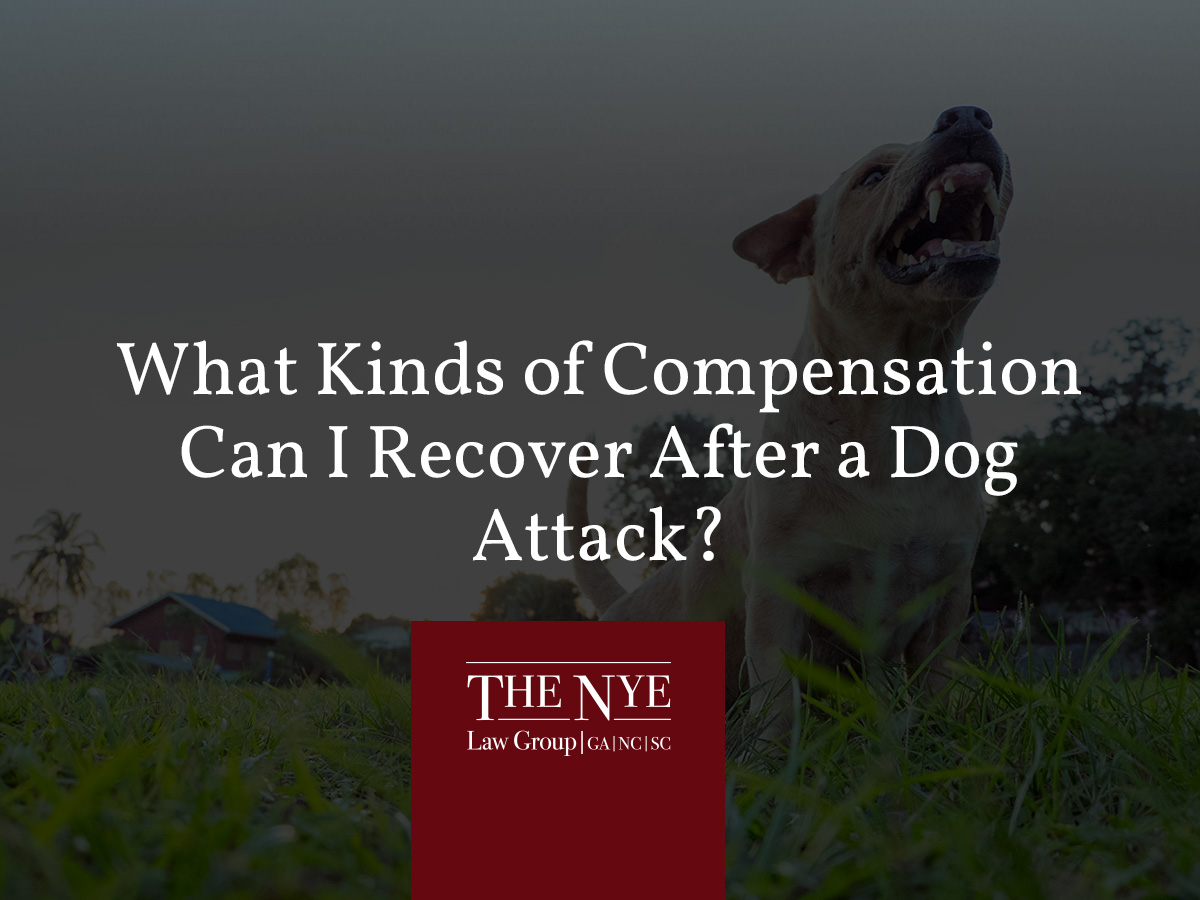 What Kinds of Compensation Can I Recover After a Dog Attack The Nye